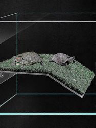 Heker Turtle ramp-kilpikonna paistattelualusta-akvaario kilpikonna kilpikonna kiipeilyalusta elävä ruoho tikkaat S