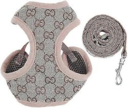 Säädettävät koiran valjaat ja talutushihnasarja - pehmeä verkkopehmustettu liivi, pakosuojattu muotoilu irrotettavalla hihnalla (XS-XL)