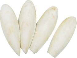 4 kpl seepia luu (13-16cm), linnut papukaijat purulelut linnut purulelut luonnollinen halailu luu papukaijoille häkki linnut matelijat kilpikonnat ...