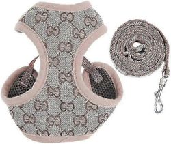 Koiran valjaat ja lyijy, säädettävä pehmeä verkkoliivi valjaat talutushihnasarja verkkopehmustettu ruudullinen pakotodistus)