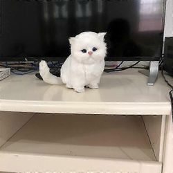 Elektroniset lemmikit, robottikissat Käsintehdyt simuloidut eläinkissat White