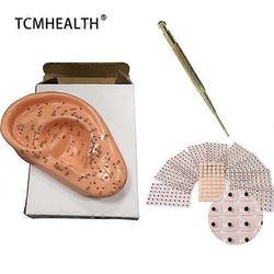 3 in 1 korvan akupunktiopisteiden malli korvapuristin siemenkorvan anturisarja 13 cm: n ihmisen lääketieteellisen korvan korvan akupistemalli engla...