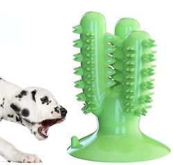 Pet Hund Begyndervanskeligheder Stick grøn