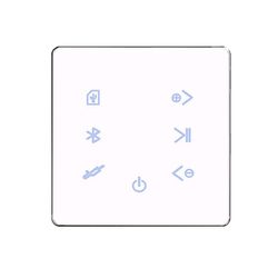 Bluetooth-forsterker i veggen USB SD-kort musikkpanel Smart Home Bakgrunn Stereo For Hotel Restaura