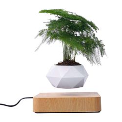 Coomir Levitating Air Bonsai Pot Kierto Kukkaruukku Istutukset Magneettinen Levitation Suspension Vaalea väri EU Plug