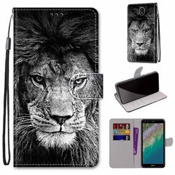 Foxdock Sag til Nokia C01 Plus Creative Mønster Tui magnetiske kort holder tegnebog - Lion