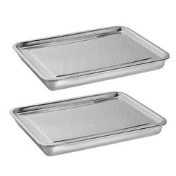 Ruostumattomasta teräksestä valmistetut itujen kasvatusalustat 2-tasoinen 10,4 tuumaa, miniversojen kasvatussarja, siementen itäminen Hopea