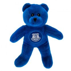 Everton FC Mini Karhu