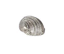 Wentworth Støbt tin fladt spiralskal ornament - JK14