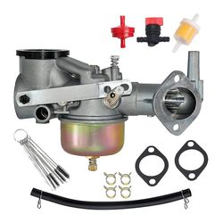 Carburetor 491590 491590 Forgasser for 191700 192700 193700 Motorserie Erstatt 390811 392152 491029