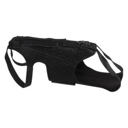 Kivunlievitys Koiran selkätuki Kirurginen toipuminen Kuntoutus Sairauksien ehkäisy M