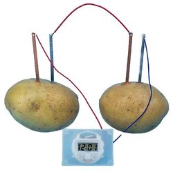 Shanghai Yiting Trading Co Ltd Lapset bioenergiatiedepakkaus hauska perunan syöttö sähkökokeet lelut One Size