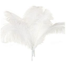 10 kpl Natural Strutsi Feathers hääjuhlan koristelu Valkoinen 45-50cm