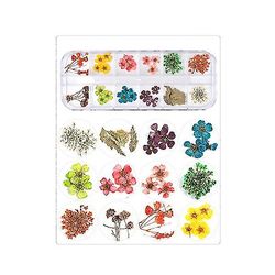 Nail Art Tilbehør Tørrede Blomster Farverige Life Nail Flower Klistermærker (12 Farve) Farve C