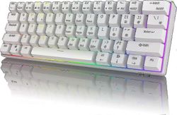 Rk61 Rgb langaton / langallinen 60% kompakti mekaaninen näppäimistö, 61-näppäin hammas pieni kannettava pelitoimistonäppäimistö, sopii Windowsille ...