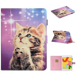 Universal For Ipad 9.7 2017 / 2018 / luft 2 / luft / ipad Pro 9.7 Farget Tegning Mønster Horisontal Flip Pu Skinnveske Stjerneklar katt