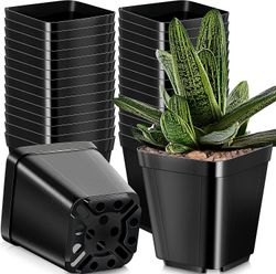 Pakke med 50 Black Square Nursery Pots