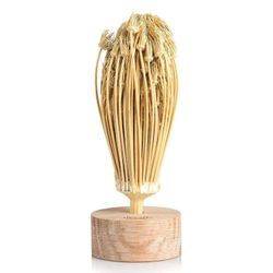 Rivsalt Luonnolliset hammashoidot Marokosta Beige 15 x 4 x 4 cm