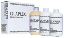 Olaplex No.1 Bond No.2 Bond Perfector Fristående Professionell Hårbehandling