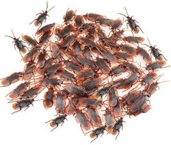 100kpl fake torakoita, kepponen torakka, muovinen särki temppu lelut juhlia, halloween, koristelu