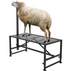 Succebuy Vuohi- ja lammasjalusta, 47x23 tuumaa, metallinen karjan lypsy- ja leikkausteline 21" - 33" säädettävä korkeus, 500 paunaa lastauspaino, m...