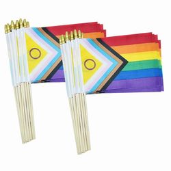 50 pakkaus Intersex Progress Gay Pride Stick Flag Pieni mini sateenkaari kädessä pidettävät LGBTQ-liput, 5x8 tuumaa Valokuvan väri