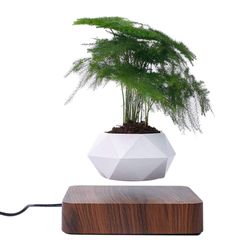 Coomir Levitating Air Bonsai Pot Kierto Kukkaruukku Istutukset Magneettinen Levitation Suspension Tumma väri EU Plug