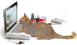 Cat Scratcher kannettava tietokone, Cat Scratch Pad kannettava tietokone pörröisellä "hiirellä" interaktiiviset kissan lelut, Kitten Cat Scratch Pa...