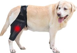 Koiran polvituki Koiran jalkatuki repeytyneelle Acl: lle Takajalka Koiran lonkkatuki, Koiran ACL polvituki Säädettävä-dwdz L