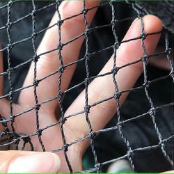 Lintuverkko Raskas lintupeuran suojaverkko Puutarhaverkko viljelykasveille Suoja lintuja, kissoja, peuroja ja eläimiä vastaan 1CM Cell2Mx15M