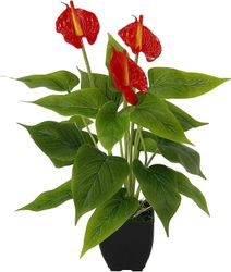 Plante d'anthurium artificielle en pot Fleur de flamant exotique d'Anthurium Fleur de flamant Plante exotique fleurs rouges Plante de flamant Plante