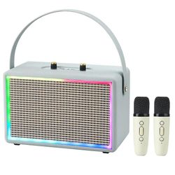 Läder Rgb Light Karaoke Högtalare Dubbla mikrofoner Grå