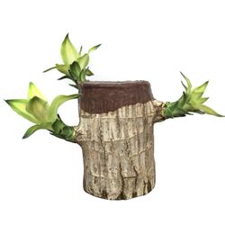 Groot Lucky Wood Hydroponic Green Moderni koristekasvi ruukku toimistokotiin A