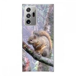 Crazy Kase Hull Til Samsung Galaxy Note20 Ultra i silikone fleksibel 1 Mm, Egern