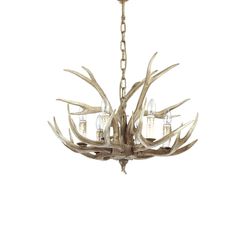 Ideal Lux Lighting Ideel Lux Chalet - 6 Light Pendant Lysekrone Light Brown, E14