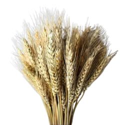 100kpl kuivattuja vehnänippuja symboloi vaurautta Uusi elämä olohuone puutarhahäähotelli Päävärit