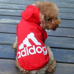 Cute Fashion Hund Pet Tøj Foråret Fall Vinter hund Cost Hund Sport Tøj Hættetrøje Coat Rød s