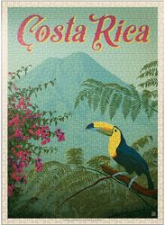 Costa Rica: Toucan i jungelen, vintage plakat - Premium 1000/500/300 brikke puslespill for voksne 1000 PCS