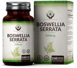Earth's Nurture Boswellia serrata uute 2000mg 1 Bottle (240 Capsules)