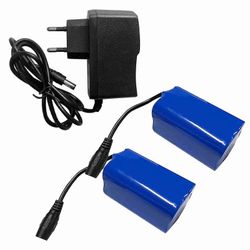 2 kpl 12000mAh ladattavaa litium-akkua laturilla kalastusveneisiin Kiinteä Normal