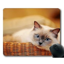 (220x180x3) Gaming Mouse Mat,blå øjne Pet Animal Cat Mouse Pad,musemåtte til computer Cat046
