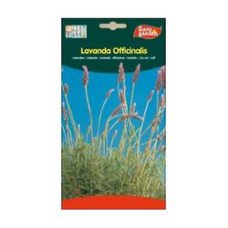 Euro Garden Laventeli Siemenet Officinalis 5 g