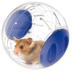 Silent Hamster Mini Kører Aktivitet Øvelse Ball 4,72 tommer Legetøj Transparent Hamster Ball blå