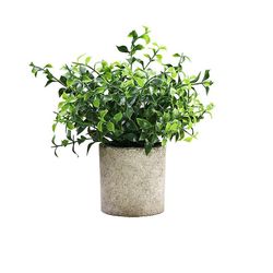 kartokner Kunstige planter med blomsterpotter små blomsterpotter kontor desktop dekoration falske planter