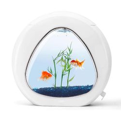 Design-akvaario lasi-ikkunalla ja LED-valolla, valkoinen väri.4 litran tilavuus.