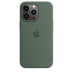 Silikonipuhelinkotelo, joka on yhteensopiva Iphone 13 Pro 13pron kanssa Eucalyptus