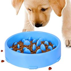 Mikasa Skridsikker Design Pet Slow Food Bowl (pink) blå