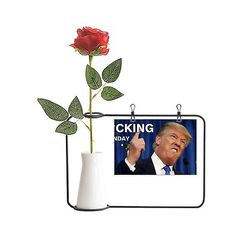 Amerikansk præsident Great Funny kunstig rose blomst hængende vaser Dekoration Flaske
