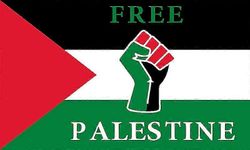 Ilmainen Palestiinan lippu A 60 x 90cm