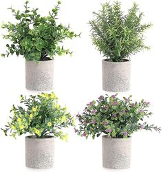 Xqday 4 sæt Dekorative kunstige planter, grønne planter indendørs ægte boomoutdoors Store